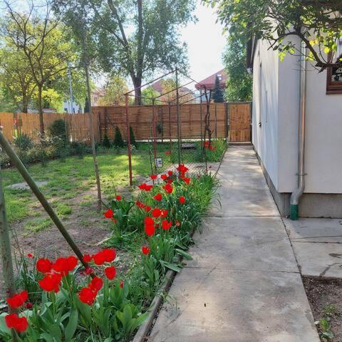Ujszeged Apartman エクステリア 写真