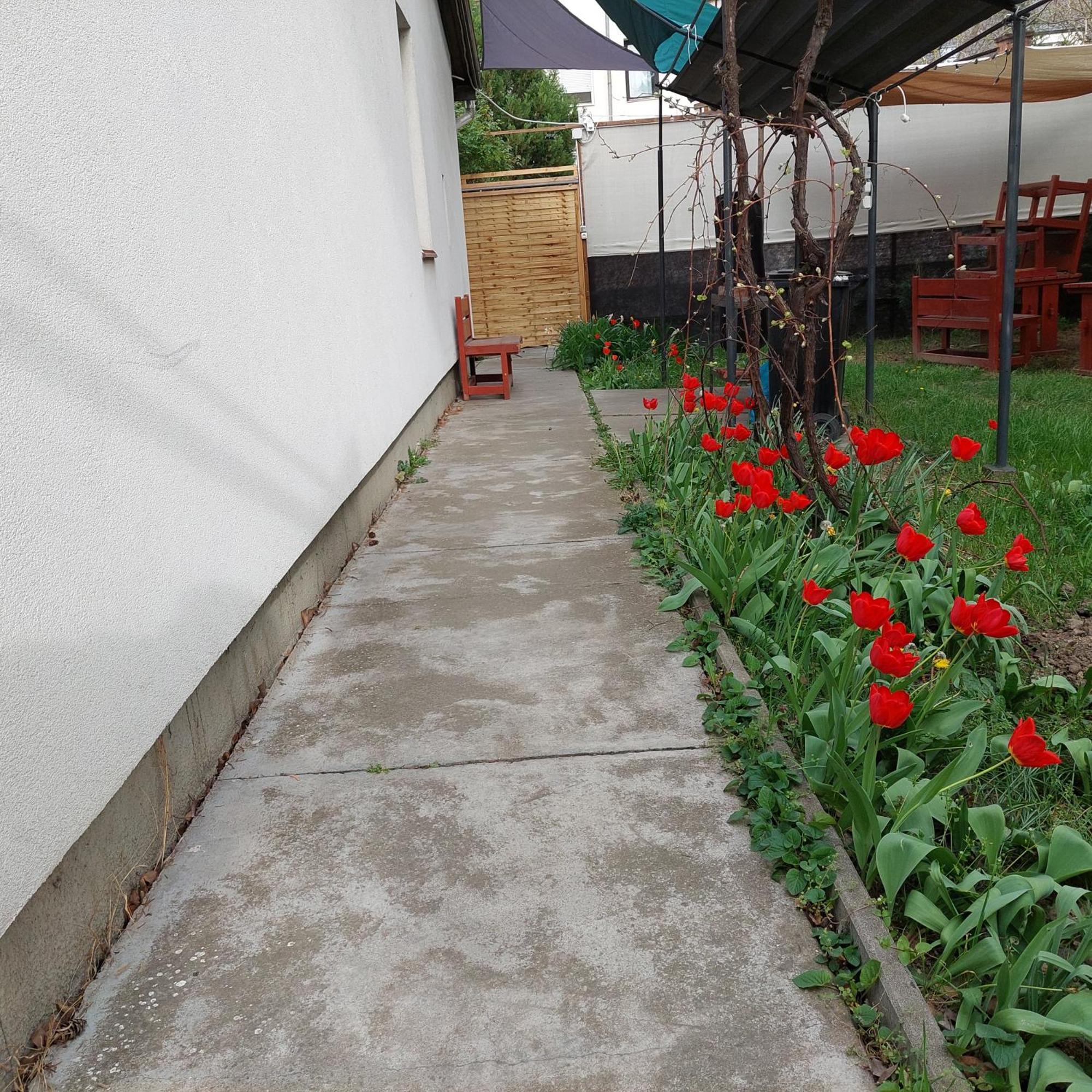 Ujszeged Apartman エクステリア 写真